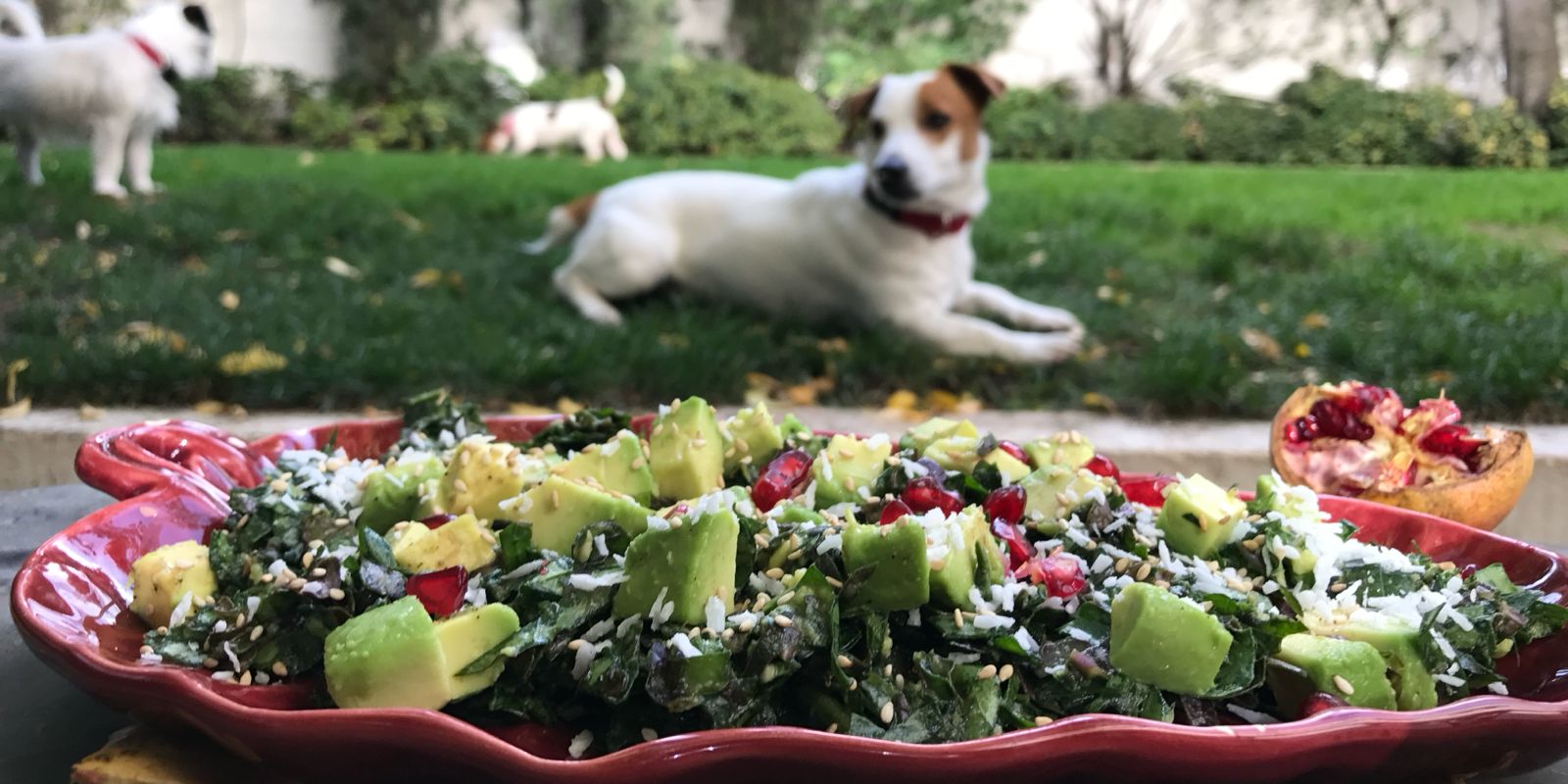 Ensalada de kale con aguacate al aliño de coco